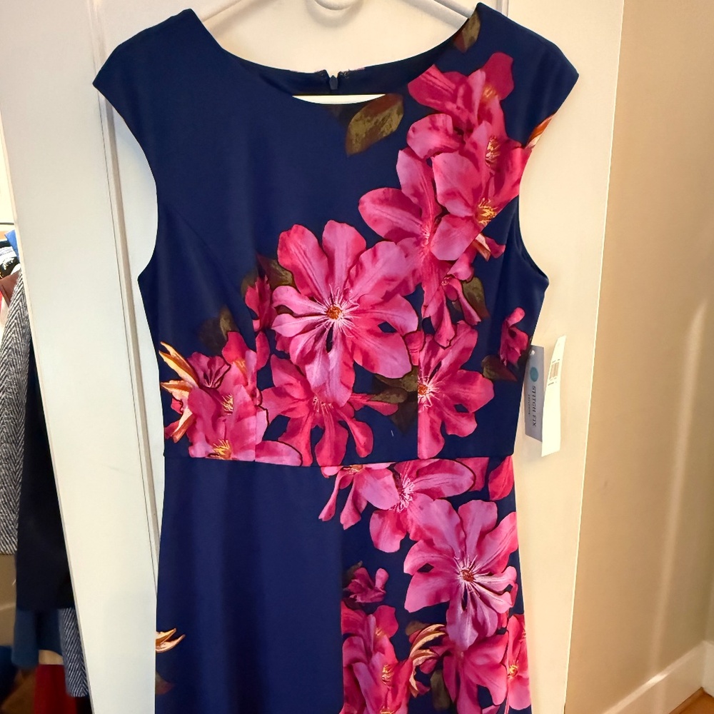 NEW size 8 Wisp Brand Floral Patterned A-line Dress Sold By Stitch Fix